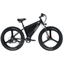 20Inch Fat Tire Electric Bike with Lithium Battery